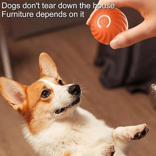 Is Your Dog Secretly Bored? 5 Telltale Signs and How to Fix It