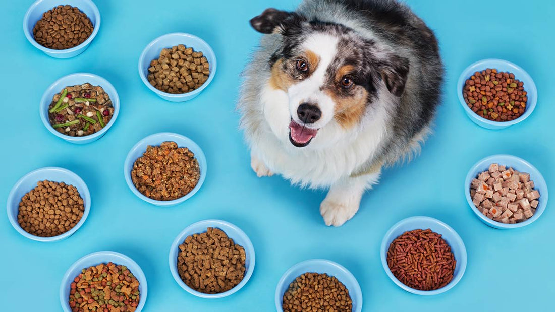 Pet Food Measuring Spoon