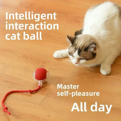 Automatic Rolling Ball