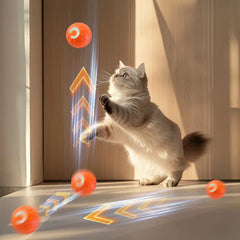Smart Toy Ball