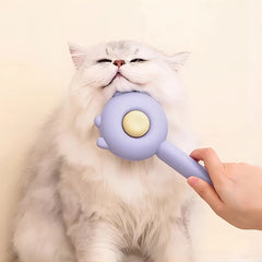 Pet Cleaning Brush