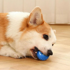 Smart Toy Ball