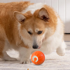 Smart Toy Ball