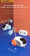 Pet Remote Controlled Toy Car