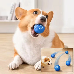 Smart Toy Ball