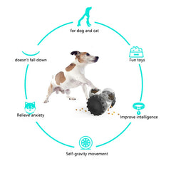 Pet Training Toy